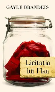 Licitaţia lui Flan - Paperback brosat - Gayle Brandeis