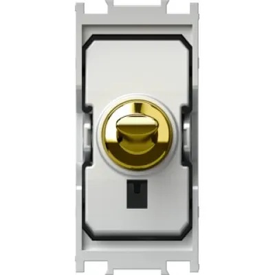 Modul Edge Intrerupator pin simplu 16AX 250V~ 1M auriu, TEM Modul TEM-SP10PG-U