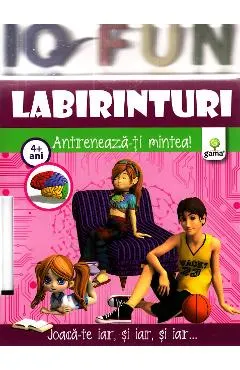 Iq Fun - Labirinturi