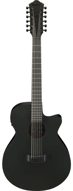 Chitară electro-acustică Ibanez - AEG, AEG1221, 12-струнна, Blackout