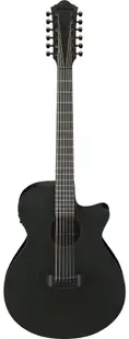 Chitară electro-acustică Ibanez - AEG, AEG1221, 12-струнна, Blackout