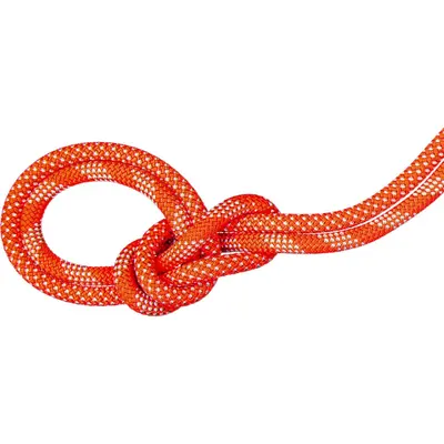 Cordon simplu MAMMUT 9.8 Crag Classic Rope Duodess