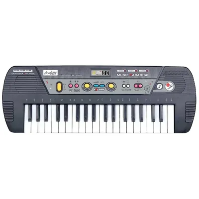 Orga electronica cu microfon WB Ionica Academy Of Music 37 clape