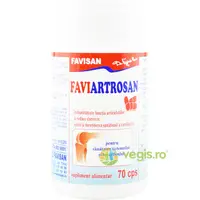 Faviartrosan pentru Sanatatea Sistemului Osteoarticular 70cps