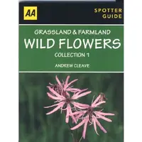 Grassland & Farmland Wild Flowers Collection 1