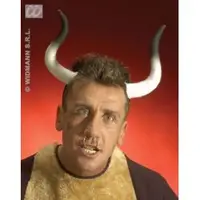 Coarne Taur