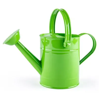 Stropitoare metalica pentru copii Woody - Verde