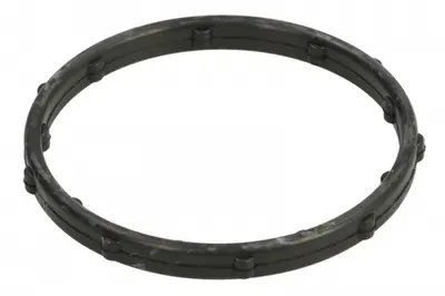 Garnitura Carcasa Termostat Potrivit Chrysler 200, 300c, Town Country, Voyager V; Dodge Avenger, Challenger, Charger, Durango, Grand, Journey; Fiat Freemont 3.6 3.6alk 3.6lpg 09.10