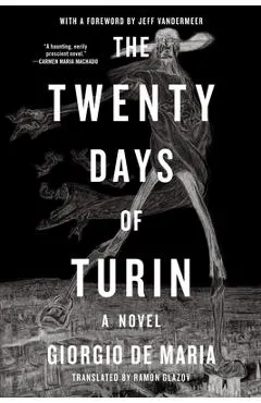 Twenty Days of Turin