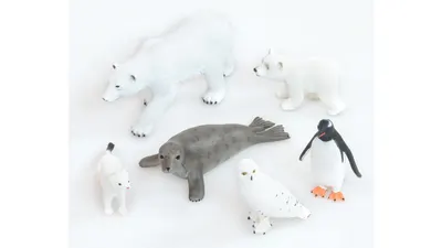 Set de 6 animale polare