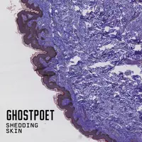 Shedding Skin - Vinyl
