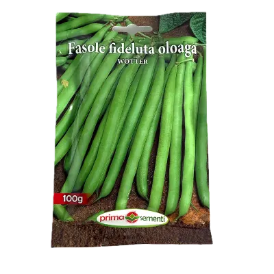 Seminte fasole oloaga verde fideluta Wotter 100 gr, Prima Sementi - Default Title