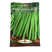 Seminte fasole oloaga verde fideluta Wotter 100 gr, Prima Sementi - Default Title