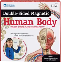 Trusa educațională Learning Resources - Corpul uman magnetic