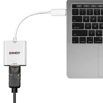 Adaptor USB 3.1-C la Displayport 4K60Hz T-M alb, Lindy L43245*