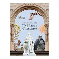 The Museum Collection: Postcards in a Box