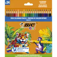 Set 24 creioane colorate, Bic, Evolution Smooth