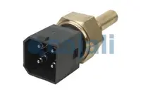 Senzor temperatura lichid racire (numar pini: 4, dimensiunea cheii: 27mm, verde) potrivit VOLVO 8700, B10, B6, B7, F10, F16, FE, FL10, FL4, FL6, FL7, FS7 D10A320-THD100EA 08.77-