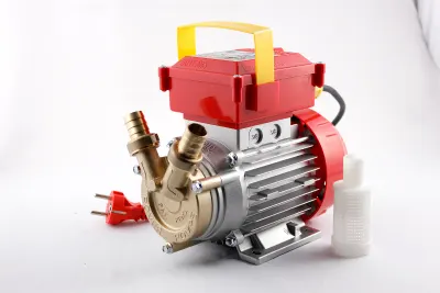 Electropompa Rover 25 pentru transvazare vin si lichide alimentare - Default Title