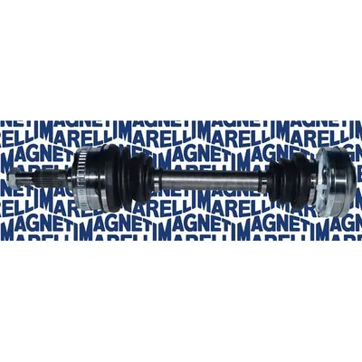 Planetara MAGNETI MARELLI 302004190069