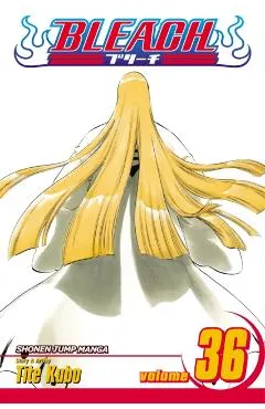 Bleach, Vol. 36, 36
