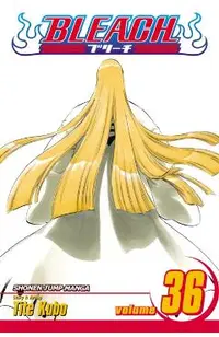 Bleach, Vol. 36, 36