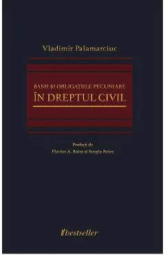 Banii si obligatiile pecuniare in dreptul civil