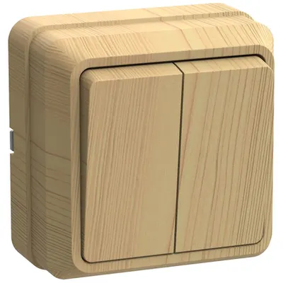 VC20-2-0-OS Dubla -buton Selector 10A OKTAVA (pine)