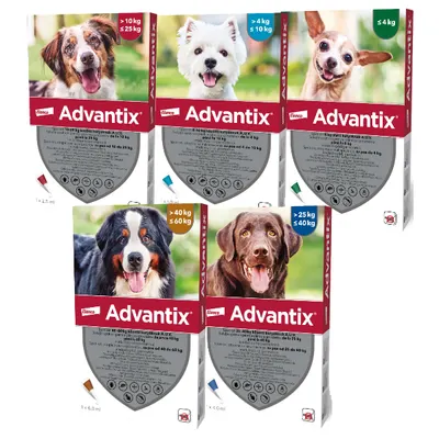 Advantix Pipeta Caine - l
