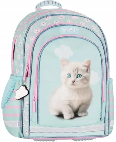 Ghiozdan școlar Starpak Kitty
