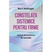 Constelatii sistemice pentru firme. Legile succesului in afaceri