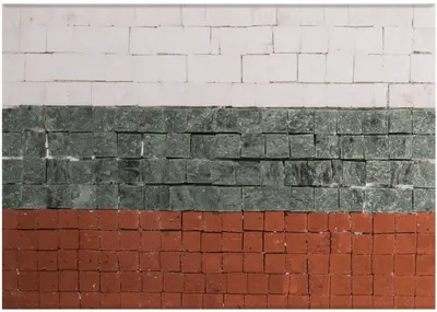 Mozaic de piatră Neptune Mosaic - Steagul bulgar, fără ramă