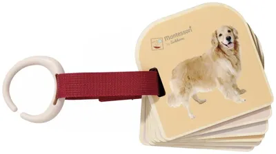 Carte ilustrată pentru copii Eichhorn - Montessori, 7 părți