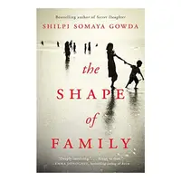 The shape of family : a novel