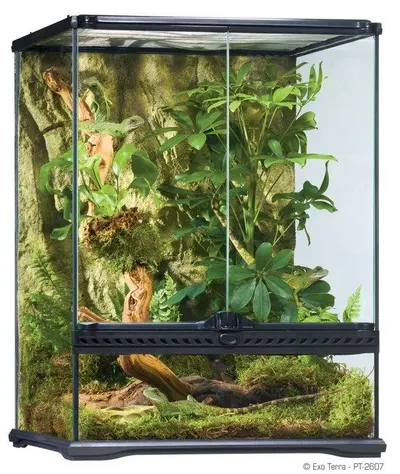 Exo Terra Terariu Sticla 45X45X60 cm PT2607