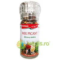 Condiment Mix Picant 50g