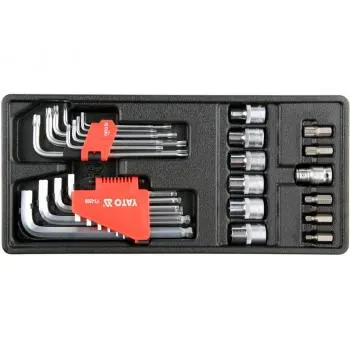Insertie Dulap Scule, 31 Piese, Hex + Torx