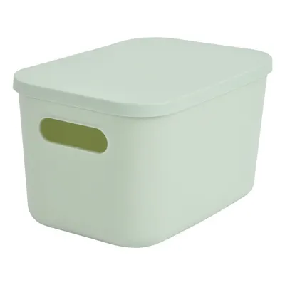 Cutie de depozitare verde-deschis din plastic cu capac 24,5x18x15 cm – Homéa