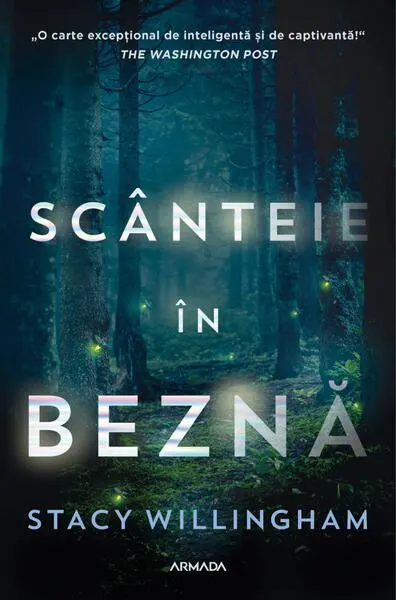 Scânteie în beznă - Paperback brosat - Stacy Willingham