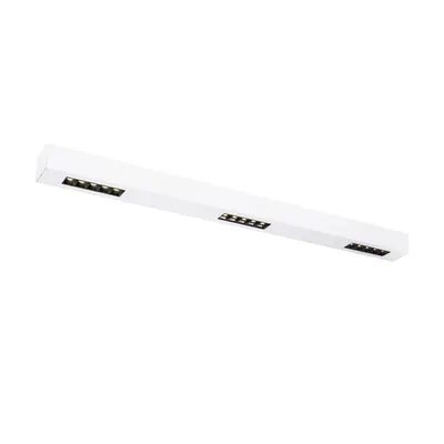 Corp iluminat TAVAN, Q-LINE ® de Luminita TAVAN, cu LED-uri alb interior Montat pe suprafata lumenul Plafon, 1m, BAP, alb, 4000K