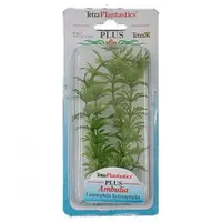 Tetraplant Ambulia 30 cm