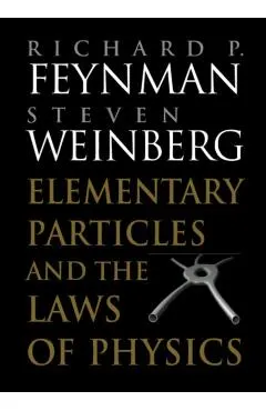Elementary Particles and the Laws of Physics