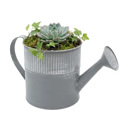 Ghiveci metalic stropitoare 13x25cm gri