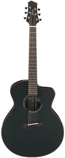 Chitară acustică electrică Ibanez - JGM10, Negru satinat