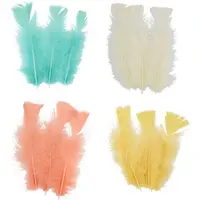 Pene decorative Arti Casa - 18 bucăți, asortiment