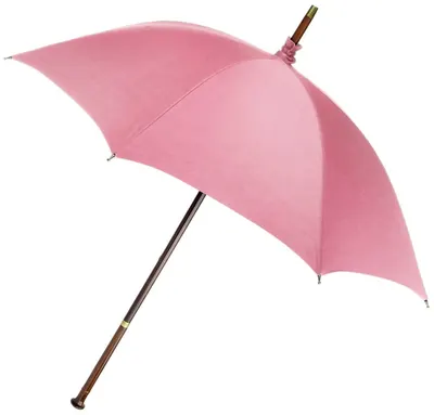 Umbrela baghetă magică The Noble Collection Movies: Harry Potter - Rubeus Hagrid Umbrella Wand