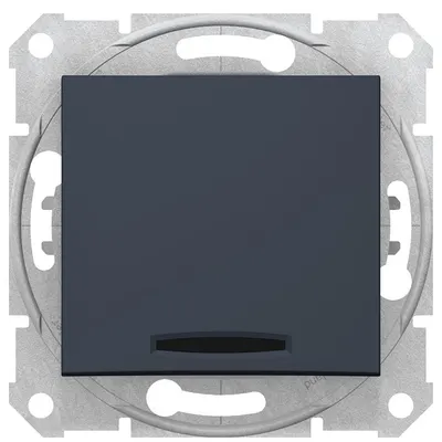 Intrerupator simplu 10AX cu indicator luminos Schneider Sedna SDN1400170, grafit