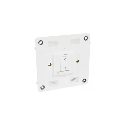 doi poli switch Arteor - 40 A 250 V~ - 4''x4'' - alb
