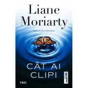 Cat ai clipi