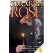 Sufletul dupa moarte. Experiente contemporane de dupa moarte in lumina invataturii ortodoxe